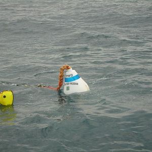 TPWD marker buoy