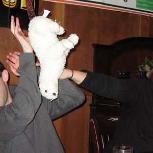 Chum Post-dive show happy hour