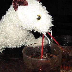 Chum Post-dive show happy hour