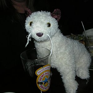 Wet gets her...his...IT'S drink on