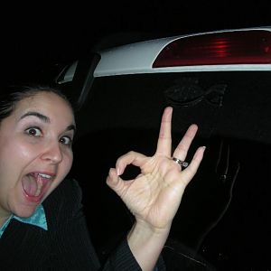 scuba fish on Peacholica's car