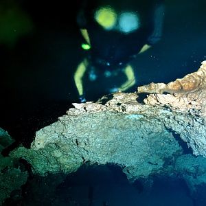 Aquacat above the Halocline