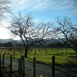 Napa Valley