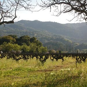 Just another crappy day in St Helena, CA