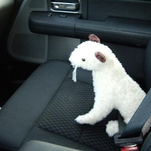 Wet Ready For The Drive Home