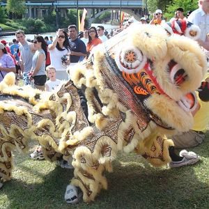 A Playful Dragon