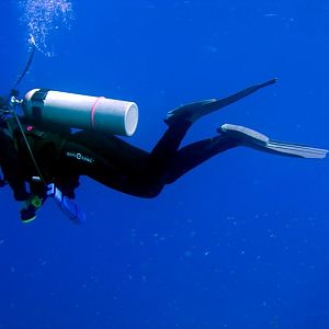 Diver_T Underwater