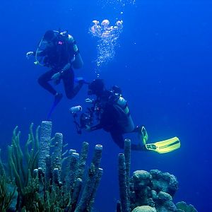 Justin and Alice Chillin Underwater