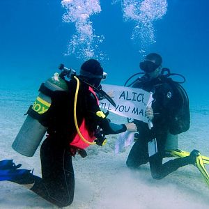 Justin Proposes to Alice Underwater