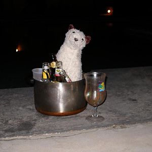 Wet Enjoying Her Last Night in Bonaire