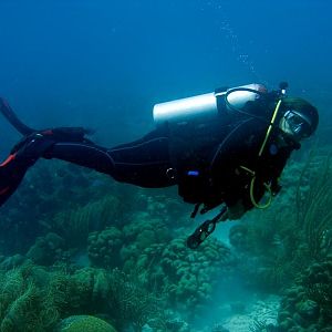 Scubagirl Underwater