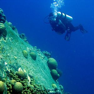 Sprout on La Machaca