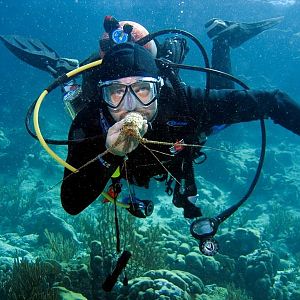 Squid Does the Lobster Tail