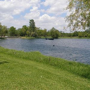 Looking at the north side of lake
