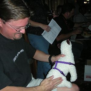 the Cat harnessing the Wet