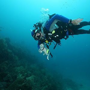 WetandDouggodiving