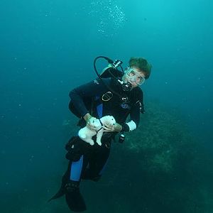 WetandIvangodiving