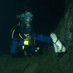 Wet and Reefhound Going Underground