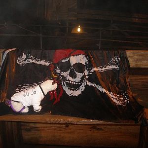 Wet inspects the flag