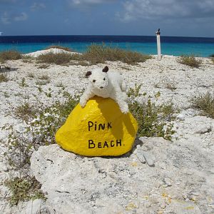 Wet in Bonaire
