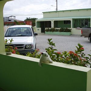 Wet in Bonaire