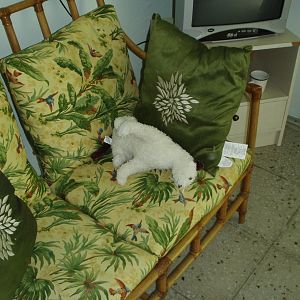 Wet in Bonaire
