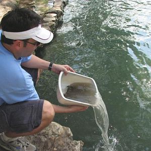 Trashfest 2008