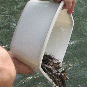 Trashfest 2008