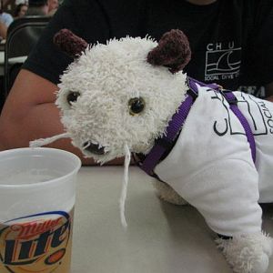 Trashfest 2008