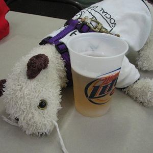 Trashfest 2008