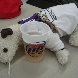 Trashfest 2008