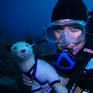 dive buddies