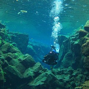McLot in shallow water in Silfra Iceland