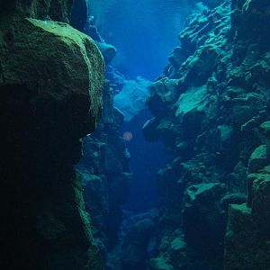 Silfra swimthru