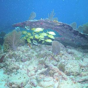 City of Washington wreck