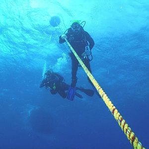 Reefhound and Outback on safety stop on Duane