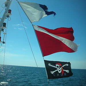 Aarrrrr!