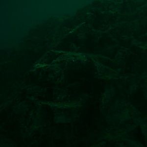 Stetson Bank, 9 a.m.