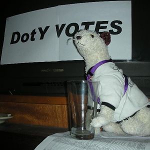 Wet guards the ballot box