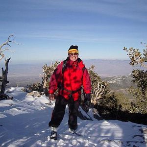 McLot on Fletcher Mountain Nevada