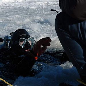 Ninja Ice Diver