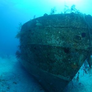 Last dive of the trip