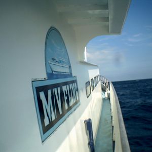 Fling Flower Gardens