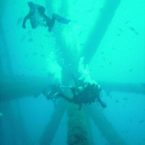 Flower Gardens trip aboard the M/V Fling 6/5-6/7/2009