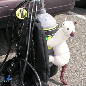 Before first Dive
