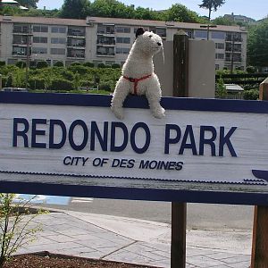 Wet visits Redondo