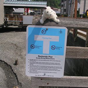 Rules at Redondo