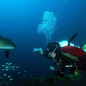 Aquacat plays with the natives