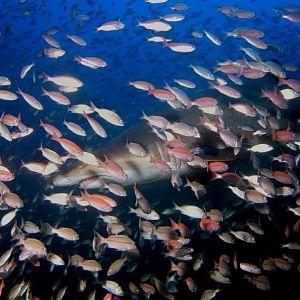 I'm in here somewhere