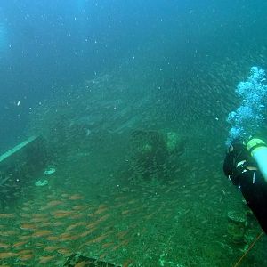 Not many fish at the Aeolus then?